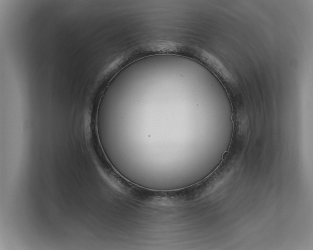 X0000111430538200907201110