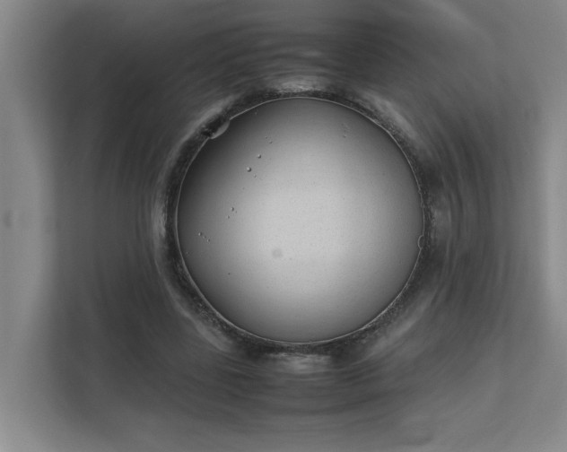 X0000111430539200907201110