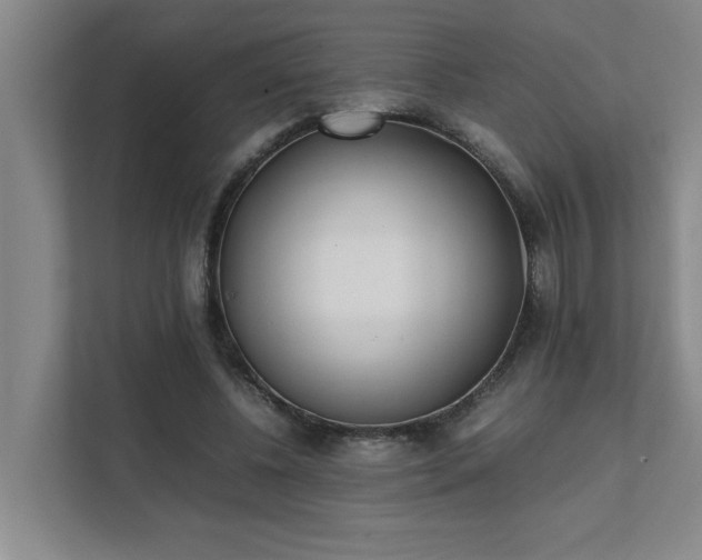 X0000111430540200907201110