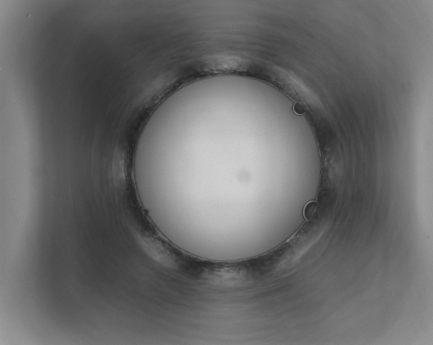 X0000111430546200907201110