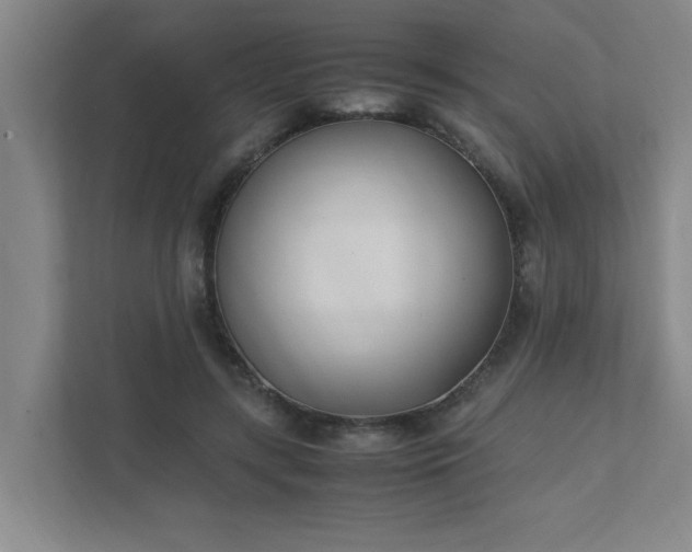 X0000111430547200907201110