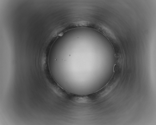 X0000111430548200907201110