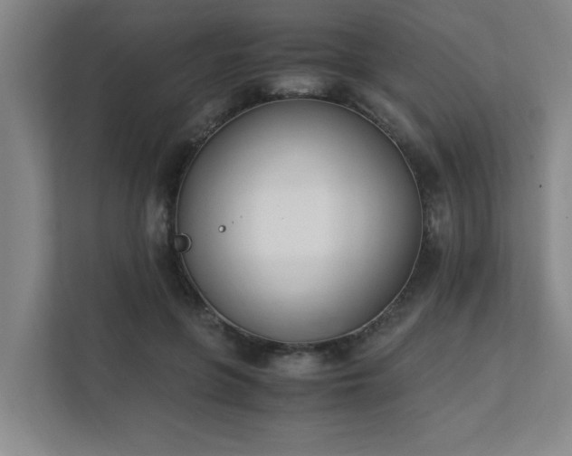 X0000111430551200907201110