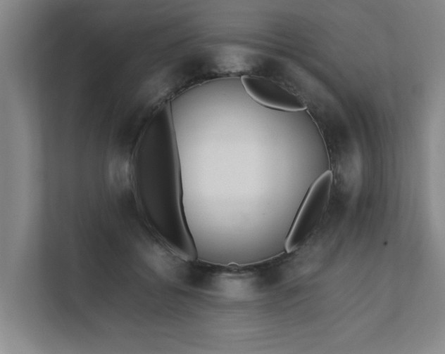 X0000111430556200907201110