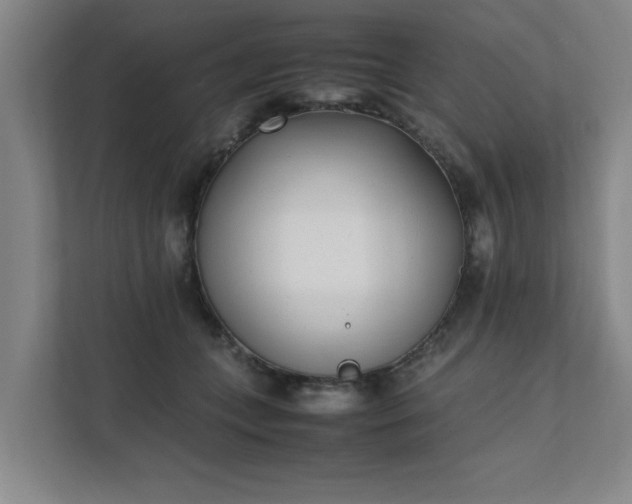 X0000111430559200907201110