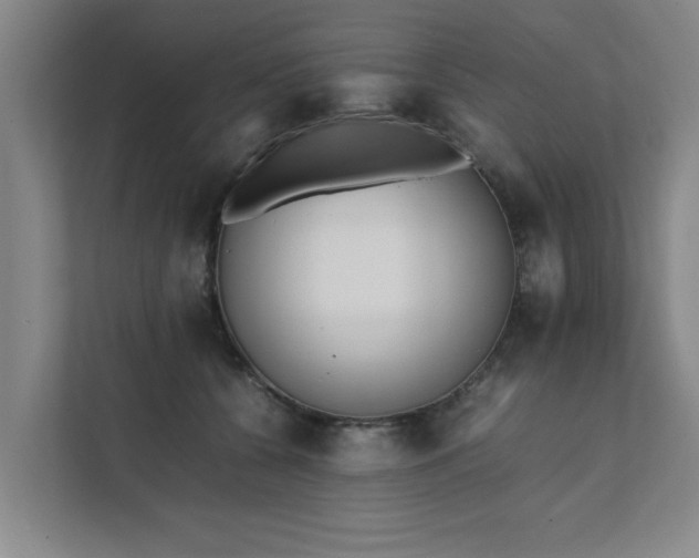 X0000111430560200907201110