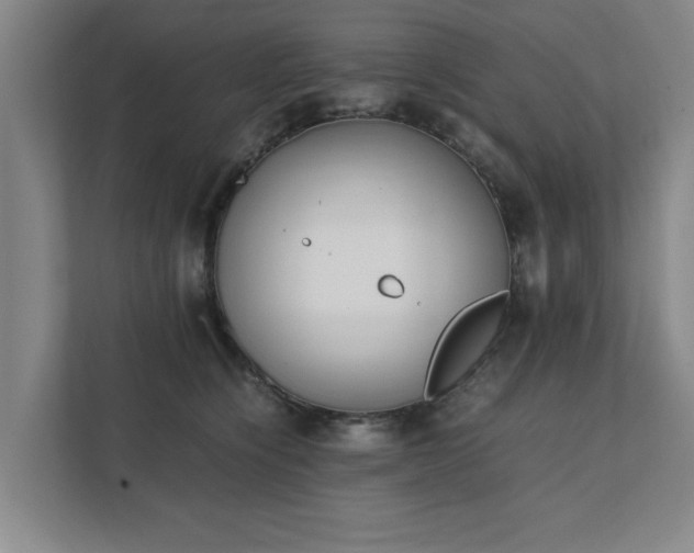 X0000111430564200907201111