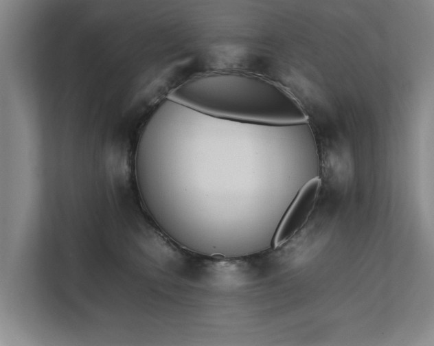 X0000111430566200907201111