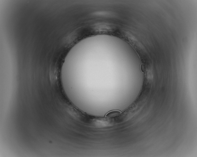 X0000111430567200907201111