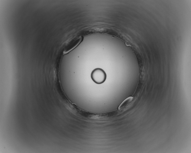 X0000111430568200907201111