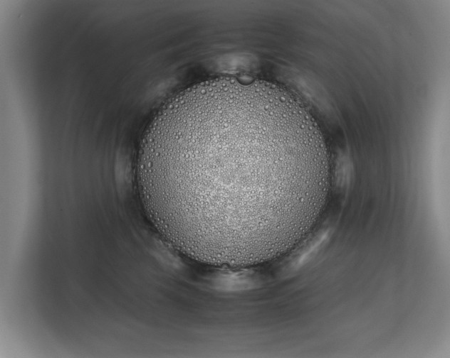 X0000111430569200907201111