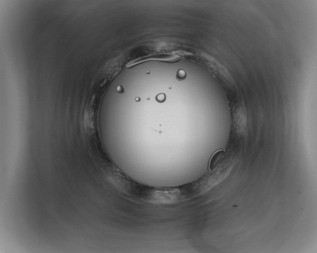 X0000111430571200907201111