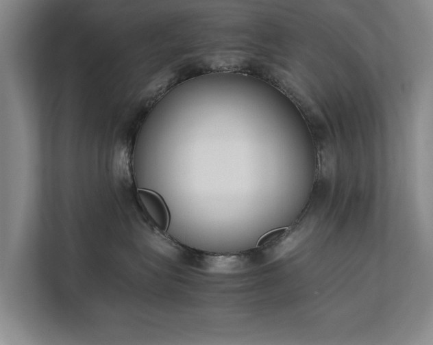 X0000111430575200907201111