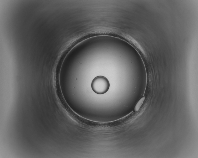 X0000111430581200907201110