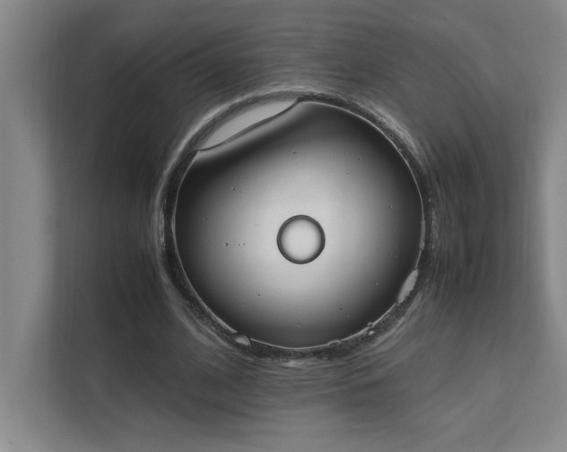 X0000111430584200907201110