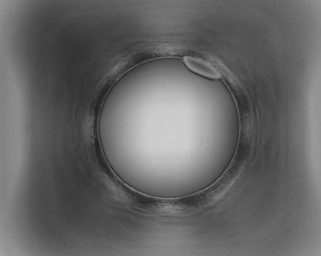 X0000111430585200907201110