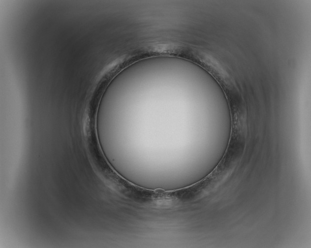 X0000111430587200907201110