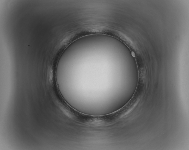 X0000111430589200907201110