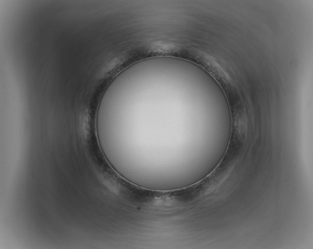 X0000111430591200907201110