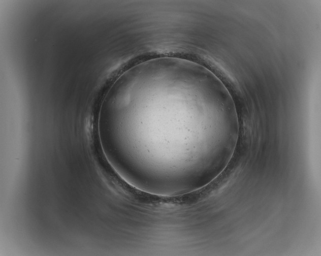 X0000111430592200907201110