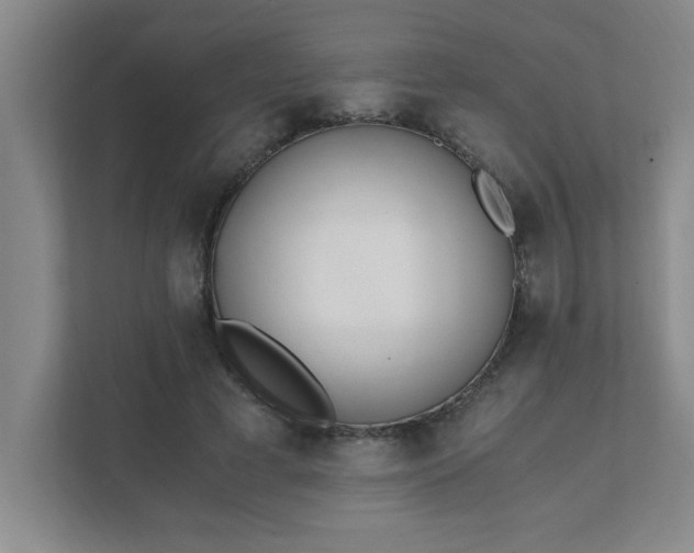 X0000111430593200907201110