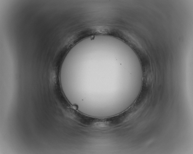 X0000111430595200907201110