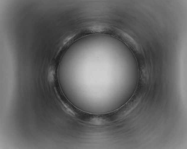 X0000111430596200907201110