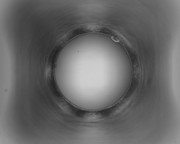 X0000111430597200907201110