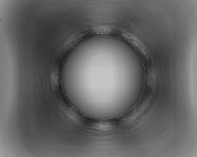 X0000111430604200907201110