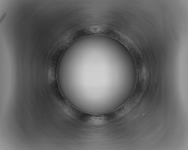 X0000111430606200907201110