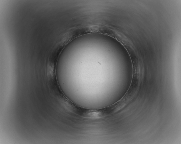 X0000111430610200907201110