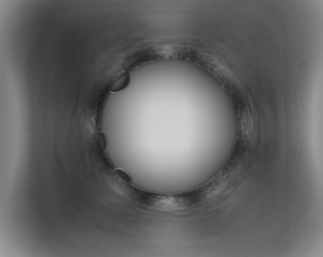 X0000111430611200907201110