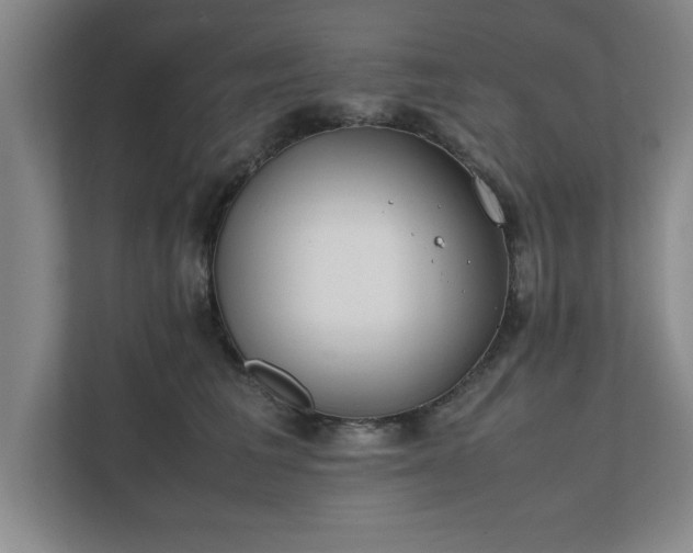 X0000111430613200907201110