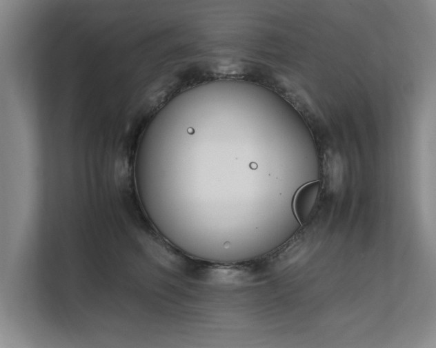 X0000111430614200907201110