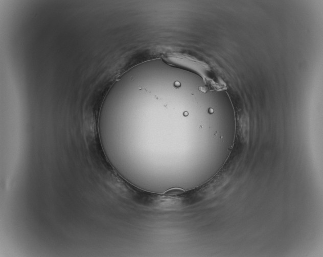 X0000111430617200907201110