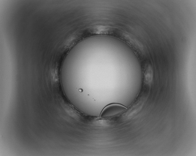 X0000111430620200907201109