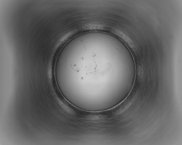 X0000111430629200907201109