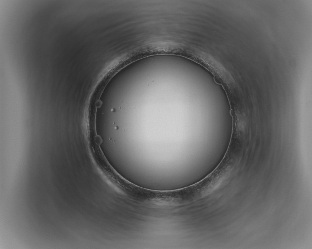 X0000111430630200907201109