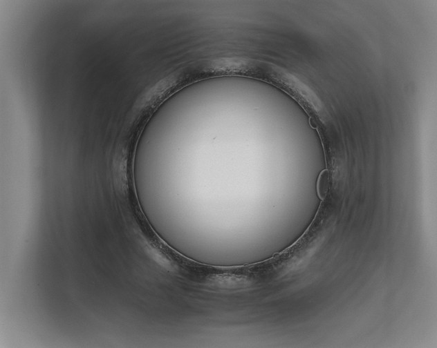 X0000111430633200907201109