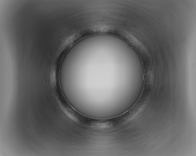 X0000111430638200907201109