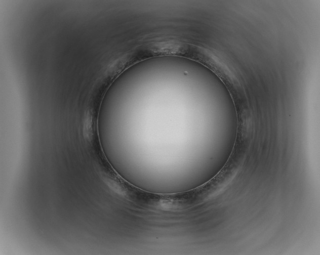 X0000111430641200907201109