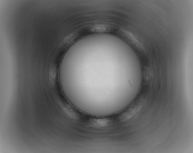 X0000111430645200907201109