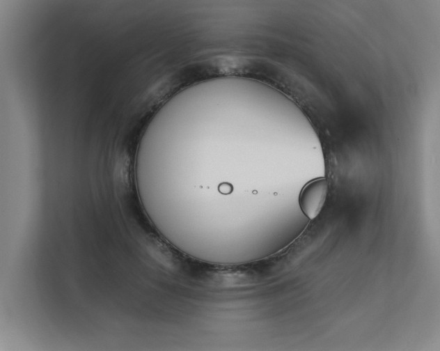 X0000111430650200907201109