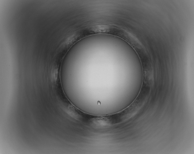 X0000111430652200907201109