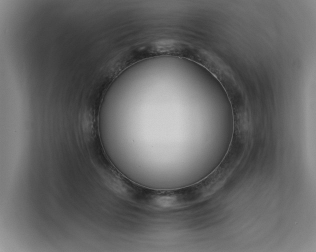 X0000111430653200907201109