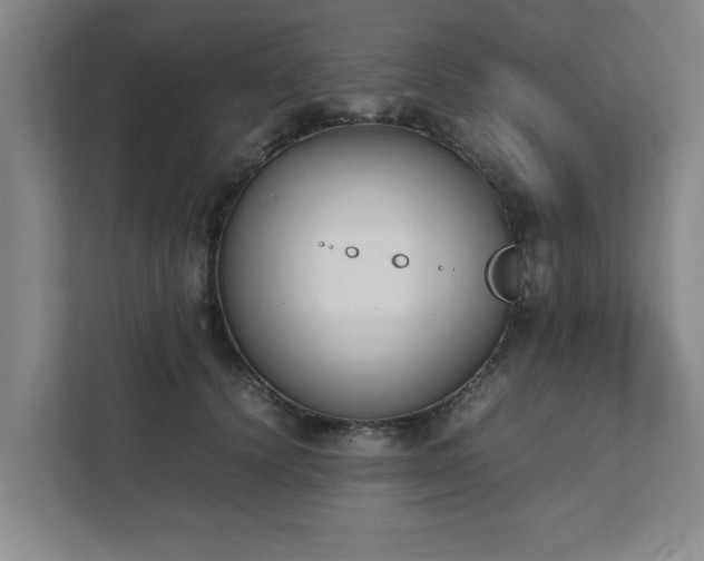 X0000111430656200907201109