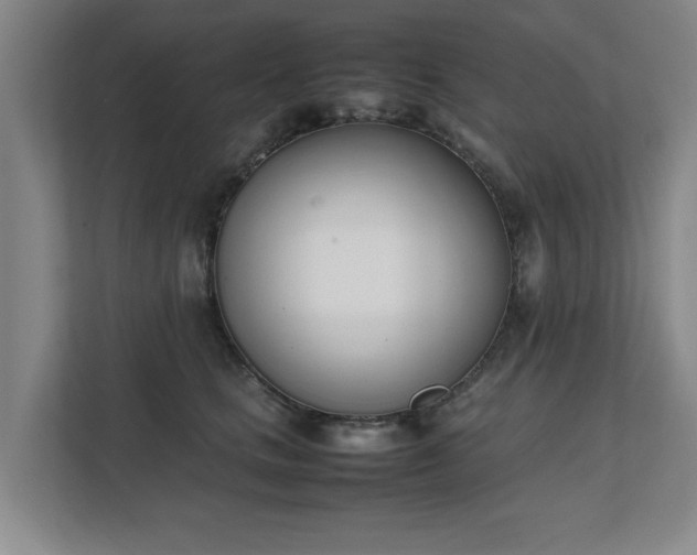 X0000111430661200907201109