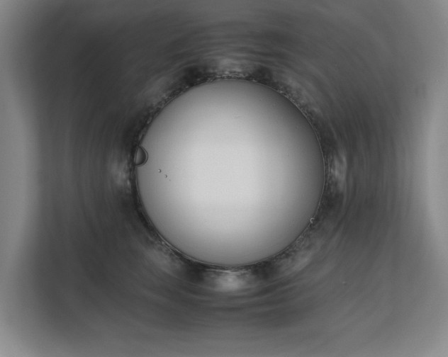 X0000111430663200907201109