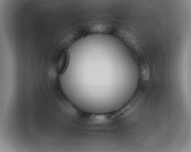 X0000111430665200907201109