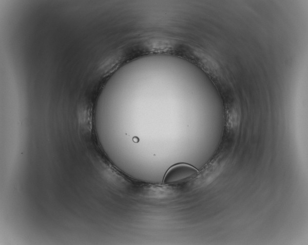 X0000111430666200907201109